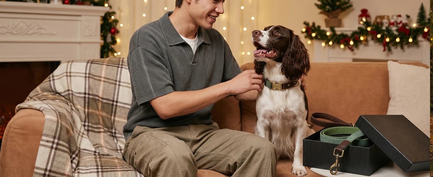 PU Leather Dog Collar for Medium Dogs — Soft Nylon Lining — collection imagery