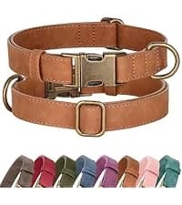PU Leather Dog Collar for Medium Dogs — Soft Nylon Lining — collection imagery
