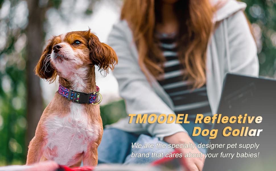 Adjustable and Reflective Dog Collar for Medium Dogs — product details