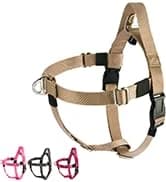 Tactical Dog Harness for Small Dogs with Handle — Military Service Dog Vest and Leash Set for Outdoor Training — collection imagery