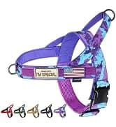 Tactical Dog Harness for Small Dogs with Handle — Military Service Dog Vest and Leash Set for Outdoor Training — collection imagery