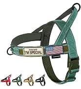 Tactical Dog Harness for Small Dogs with Handle — Military Service Dog Vest and Leash Set for Outdoor Training — collection imagery