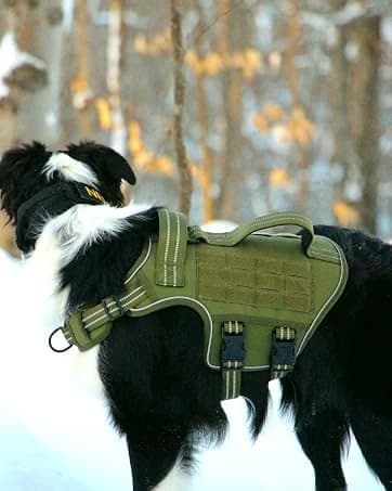 Dog Harness for Large Dogs — No Pull Tactical Vest with Front Clips — collection imagery