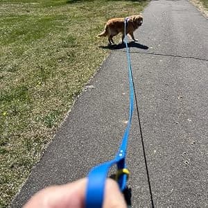 Waterproof Long Dog Leash Recall Training Lead 5 10 16 30 50 Foot for Large Medium Small Dogs Outdoor Training — collection imagery