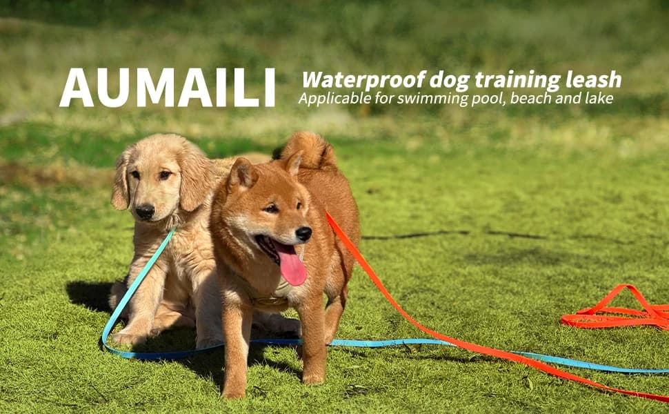 Dog Training Long Leash Waterproof Long Line Heavy Duty Outdoor Recall Lead 10ft 15ft 20ft 30ft 50ft for Small — Waterproof Dog Training Leash Outdoor Long Lead Applicable for Playing Training Courtyard and Beach