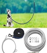 Long Leash for Dogs Waterproof — collection imagery