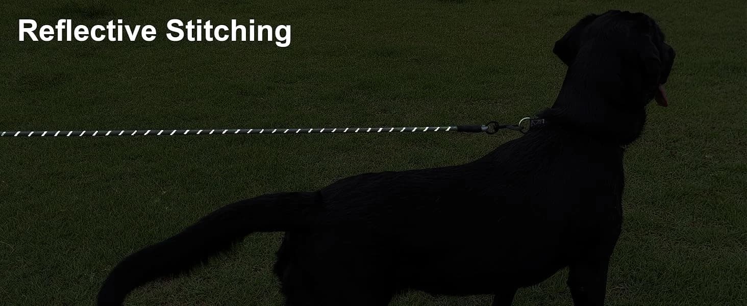 Long Dog Leash — 10/15/20/30/50FT Dog Training Leash with Soft Handle — product details