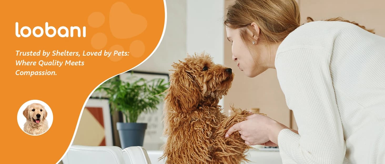 Washable Pee Pads for Dogs — 2 Pack Fast Absorbent Dog Mats,72"x72" — collection imagery