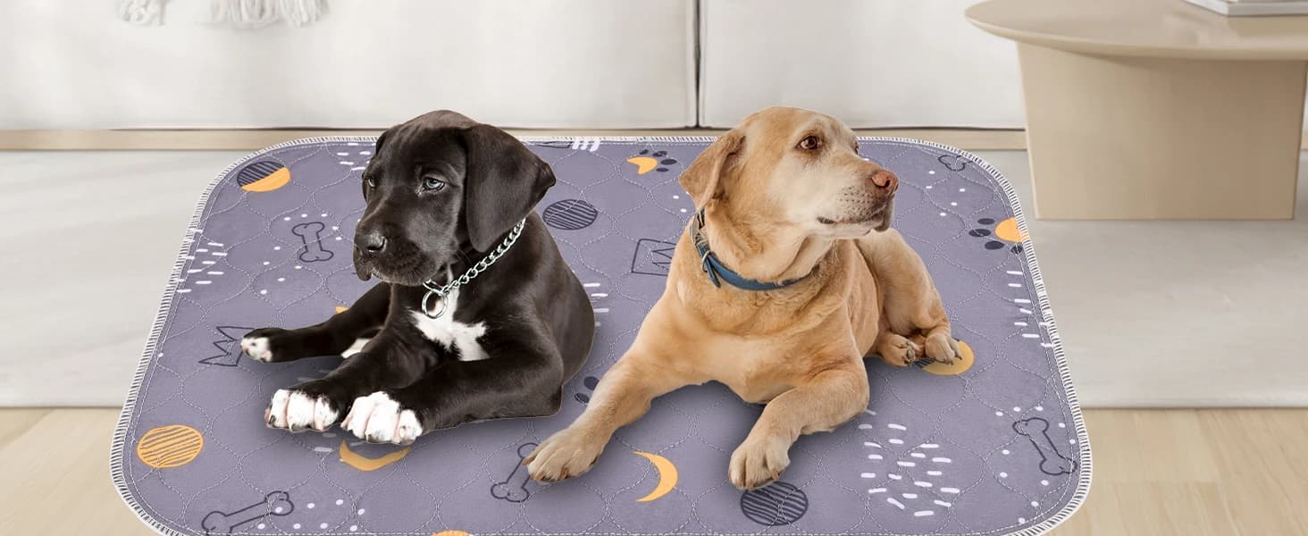 Washable Pee Pads for Dogs 2 Pack 34" x 36" — Waterproof — collection imagery