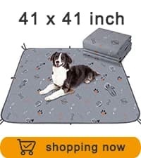 Washable Pee Pads for Dogs 2 Pack 34" x 36" — Waterproof — collection imagery