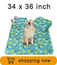 Washable Pee Pads for Dogs 2 Pack 34" x 36" — Waterproof — collection imagery