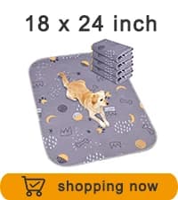Washable Pee Pads for Dogs 2 Pack 34" x 36" — Waterproof — collection imagery