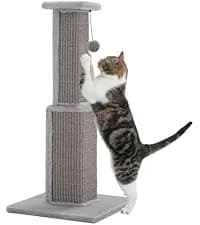 Cat Tunnel S Shape Cat Tunnels for Large and Indoor Cats 51”Long — collection imagery