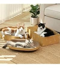 Cat Scratcher Mat — 23.6 X 15.7 Inch Natural Sisal Cat Scratch Mat — collection imagery