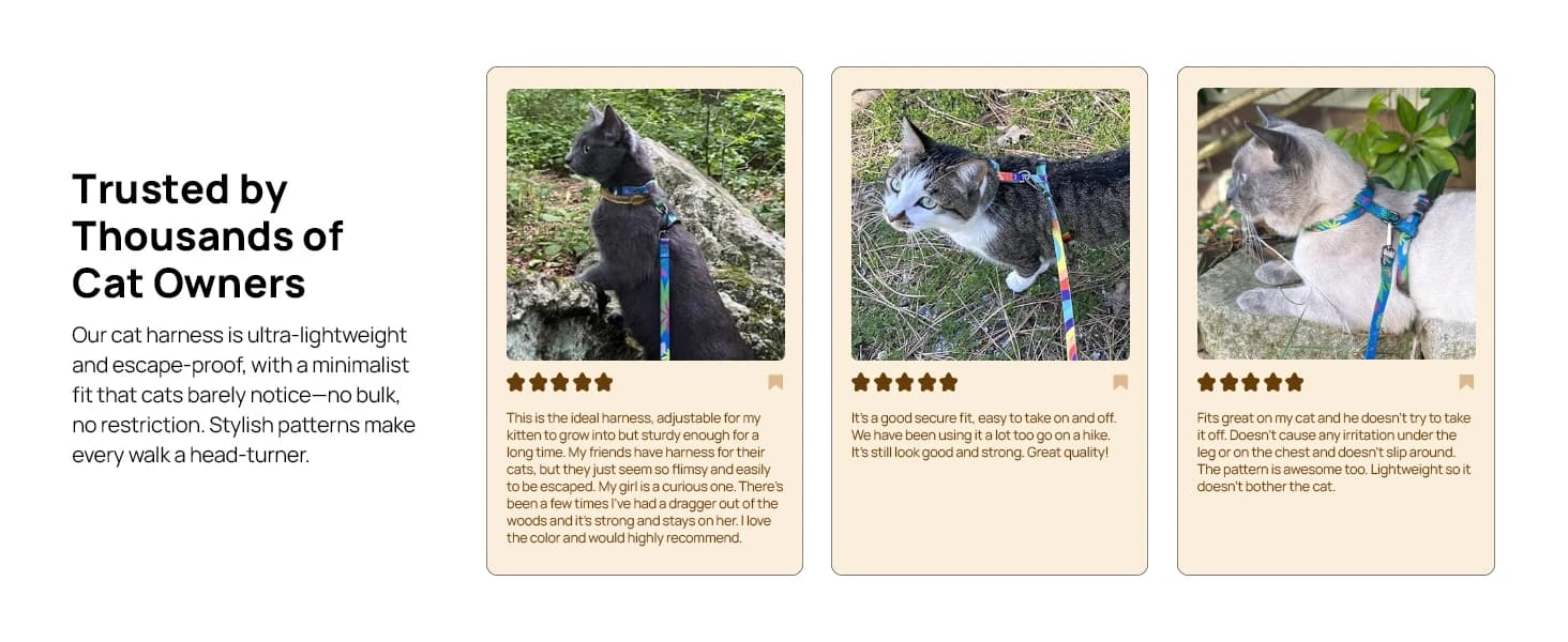 Adjustable Cat Harness and Leash Set — Escape Proof — collection imagery