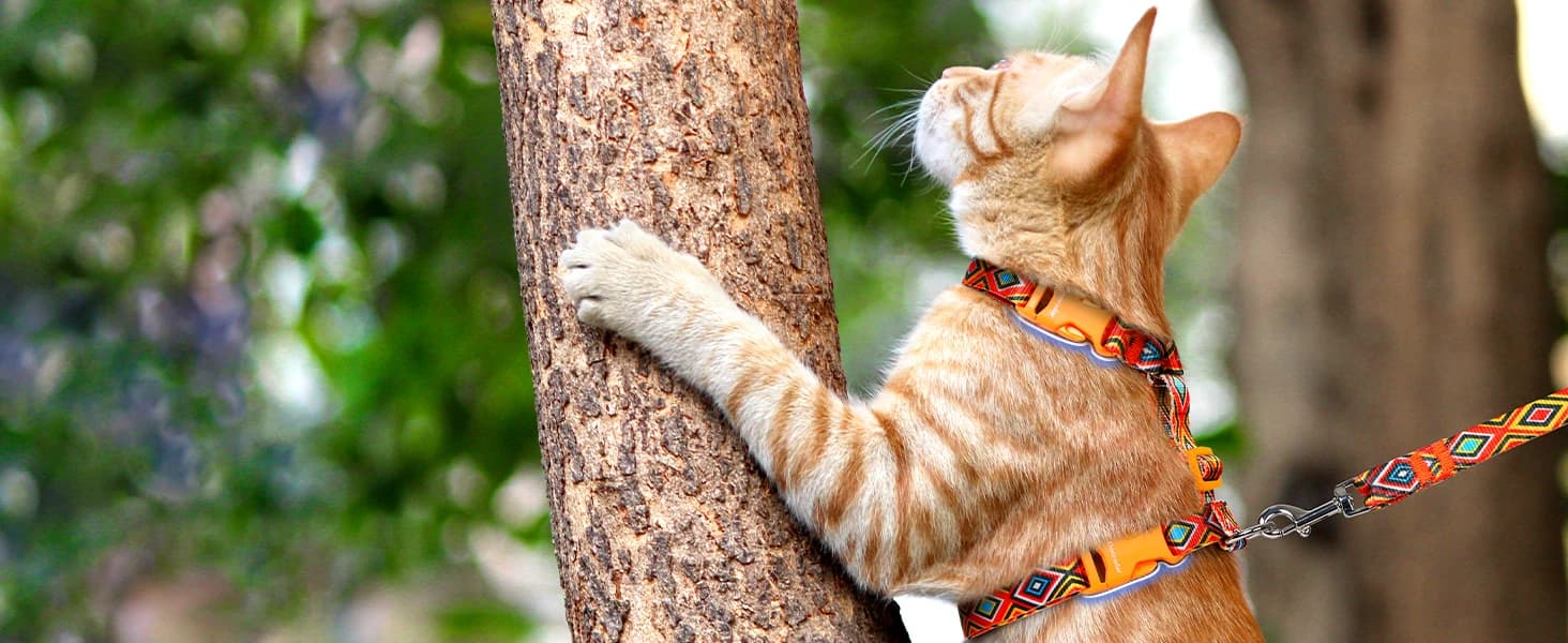 Cat Harness and Leash Set — Adjustable Pet Straps — See the World Together Never Parted