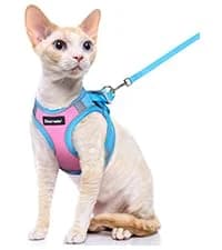 Cat Harness and Leash Set — Adjustable Pet Straps — collection imagery