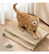 Cat Carrier Soft-Sided Pets Travel Carriers up to 15 Lbs — collection imagery