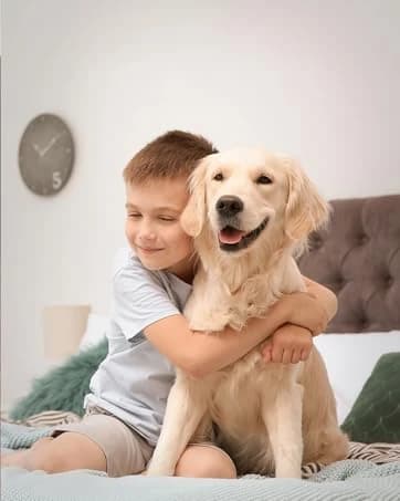 Dog Water Fountain for Large Dogs: 7L/236oz/1.8G Dog Fountain — collection imagery