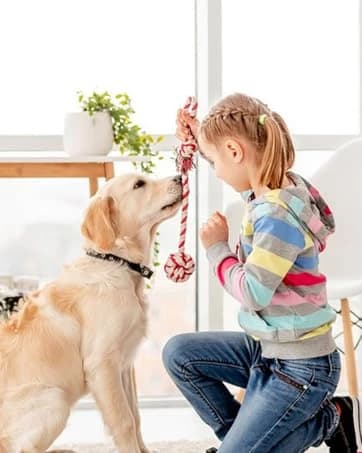 Dog Water Fountain for Large Dogs: 7L/236oz/1.8G Dog Fountain — collection imagery