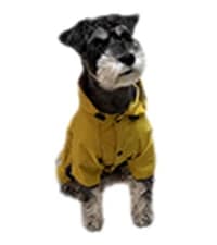 Dog Raincoat — Waterproof Dog Rain Jacket with Hood — collection imagery
