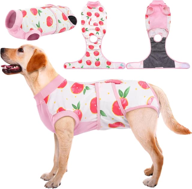 Recovery Suit for Dogs and Cats