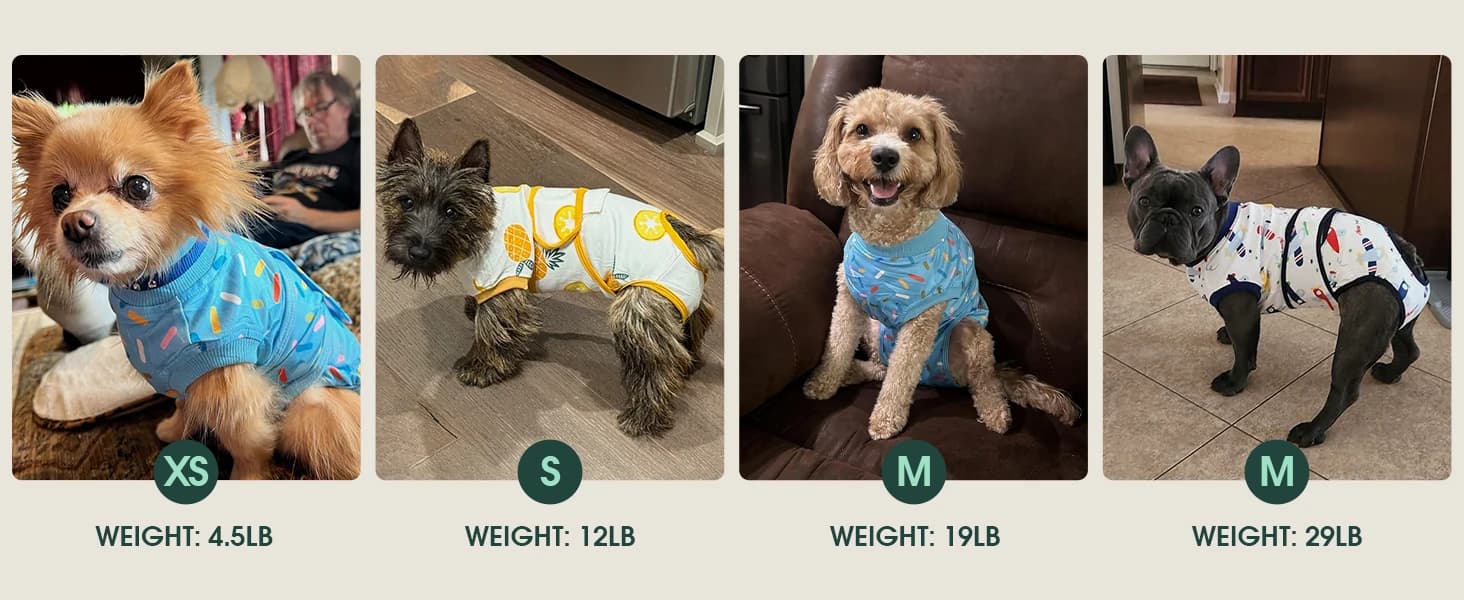 Recovery Suit for Dogs and Cats — product details