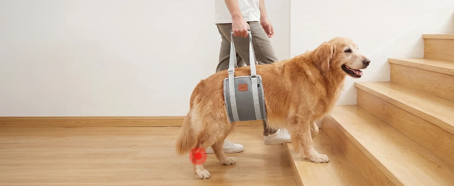 Adjustable Dog Sling for Large Dogs Hind Leg Support Weak Legs Mobility Aid — collection imagery
