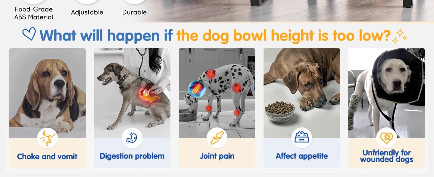 Elevated Dog Bowls Large Breed Raised Dogs Bowl Stand Large/Medium Sized Dog Stainless Steel Food Water Bowl — product details