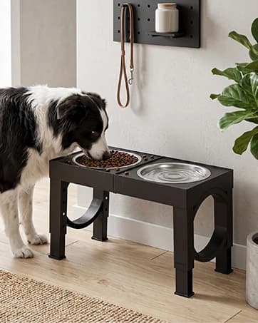 Elevated Dog Bowls Large Breed Raised Dogs Bowl Stand Large/Medium Sized Dog Stainless Steel Food Water Bowl — collection imagery