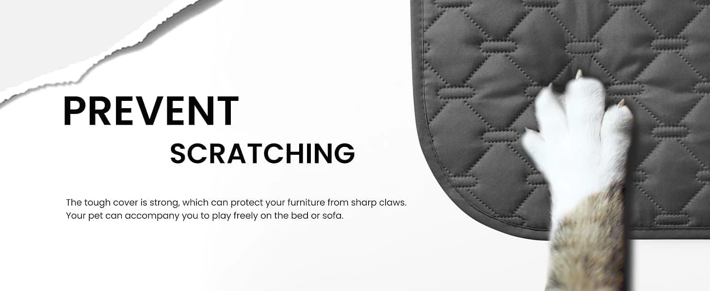 Waterproof Blanket — Couch Covers for Dogs — collection imagery
