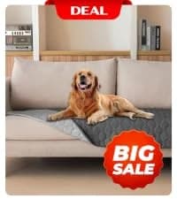 Waterproof Blanket — Couch Covers for Dogs — collection imagery