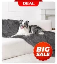 Waterproof Blanket — Couch Covers for Dogs — collection imagery