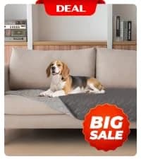 Waterproof Blanket — Couch Covers for Dogs — collection imagery