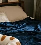 Waterproof Blanket — Couch Covers for Dogs — collection imagery