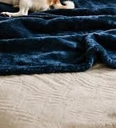 Waterproof Blanket — Couch Covers for Dogs — collection imagery