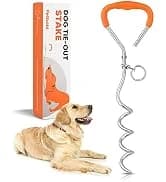 Dog Tie Out Cable and Stake — 30ft Heavy Duty Dog Leads for Yard — collection imagery