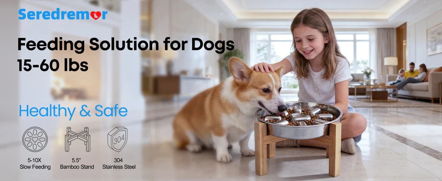 Elevated Slow Feeder Dog Bowls β 2 Cups for 15-60 LBS Breed Puppy β product details