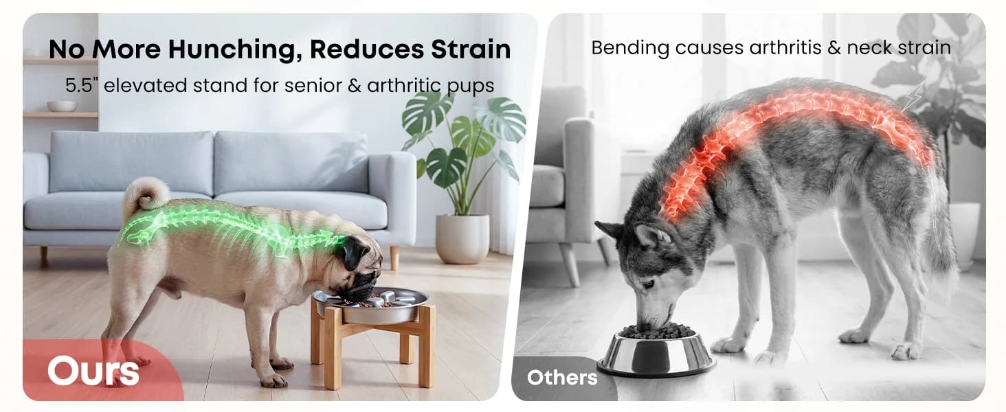 Elevated Slow Feeder Dog Bowls β 2 Cups for 15-60 LBS Breed Puppy β product details