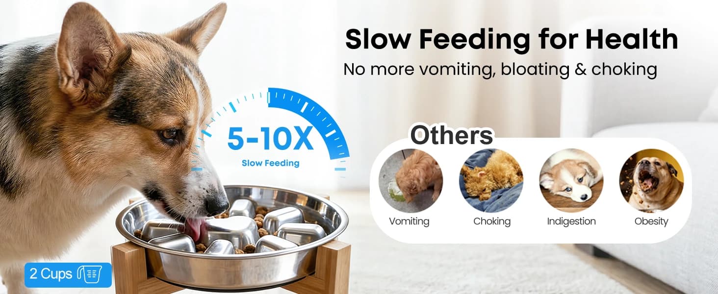 Elevated Slow Feeder Dog Bowls β 2 Cups for 15-60 LBS Breed Puppy β product details