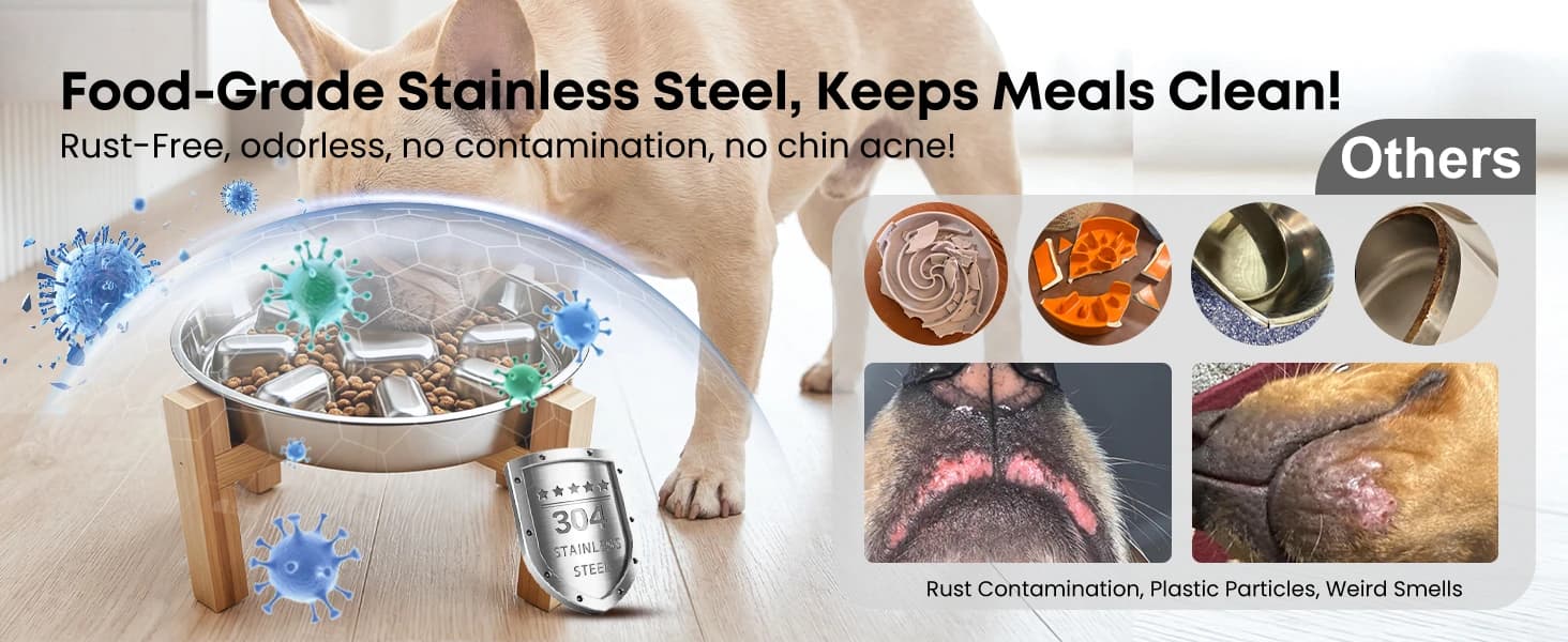 Elevated Slow Feeder Dog Bowls β 2 Cups for 15-60 LBS Breed Puppy β collection imagery