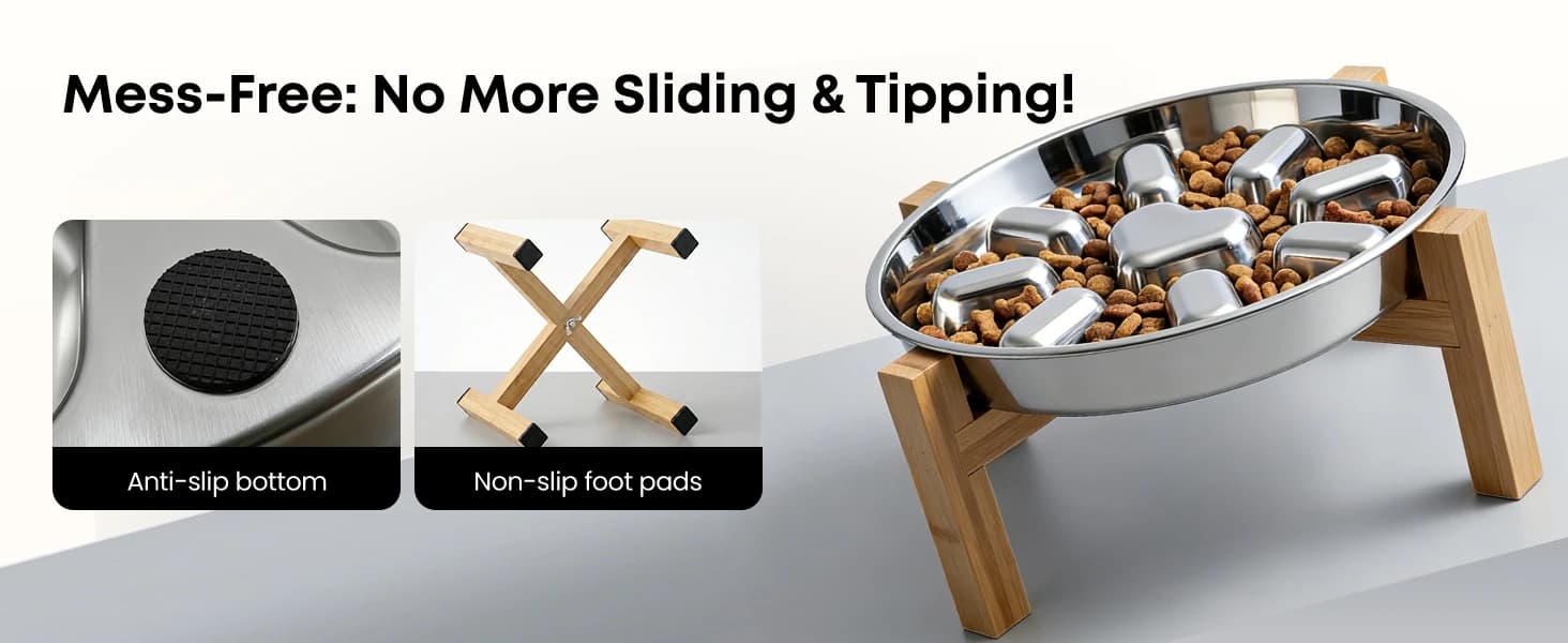 Elevated Slow Feeder Dog Bowls β 2 Cups for 15-60 LBS Breed Puppy β collection imagery