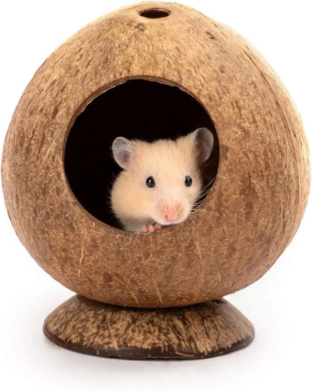 Coconut Hut Hamster House Bed — Natural Gerbils Hideout
