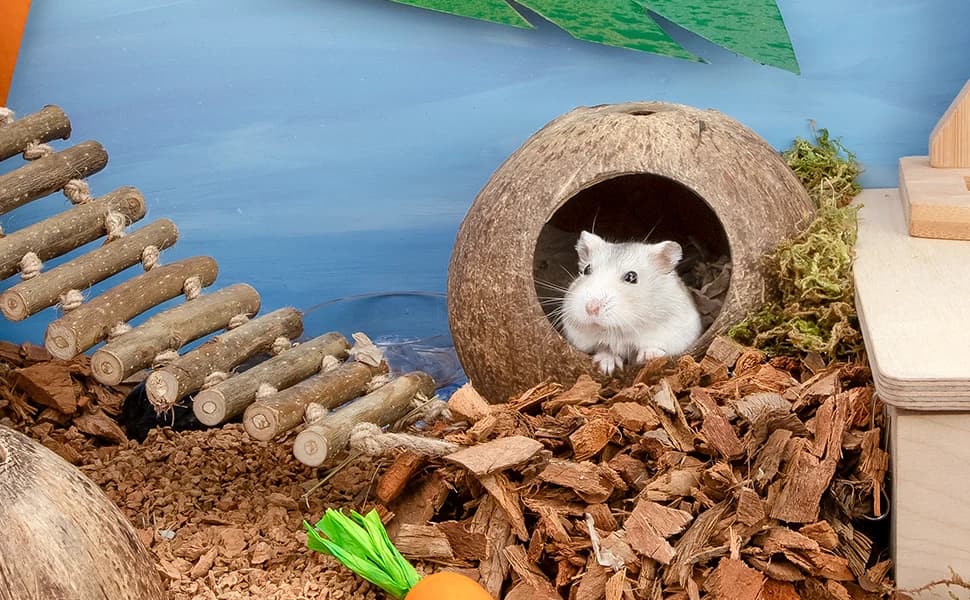 Coconut Hut Hamster House Bed — Natural Gerbils Hideout — product details