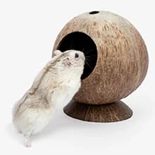 Coconut Hut Hamster House Bed — Natural Gerbils Hideout — Coco Shell Hamster Hideout