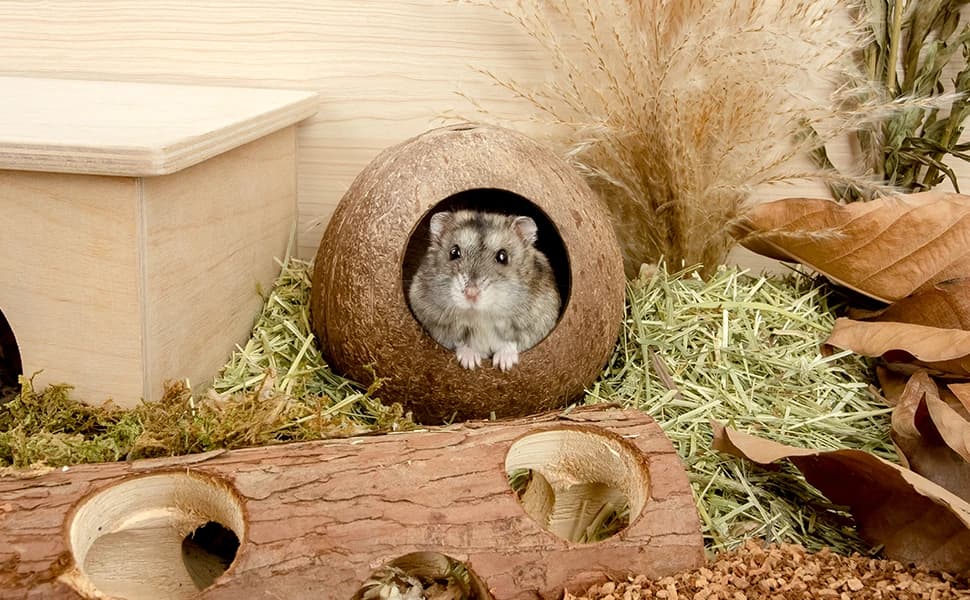 Coconut Hut Hamster House Bed — Natural Gerbils Hideout — product details