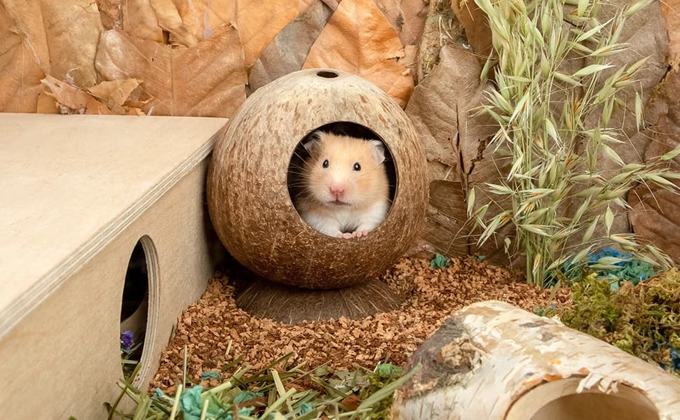 Coconut Hut Hamster House Bed — Natural Gerbils Hideout — product details