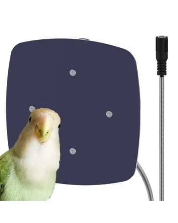 Bird Heater — Thermostatical Bird Warmer for Parakeets — collection imagery