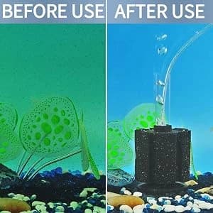 3 Pack Aquarium Sponge Filter Quiet Betta Fry Shrimp and Small Fish Foam Filter for Tiny Fish Tank up to 10 Gallon — collection imagery