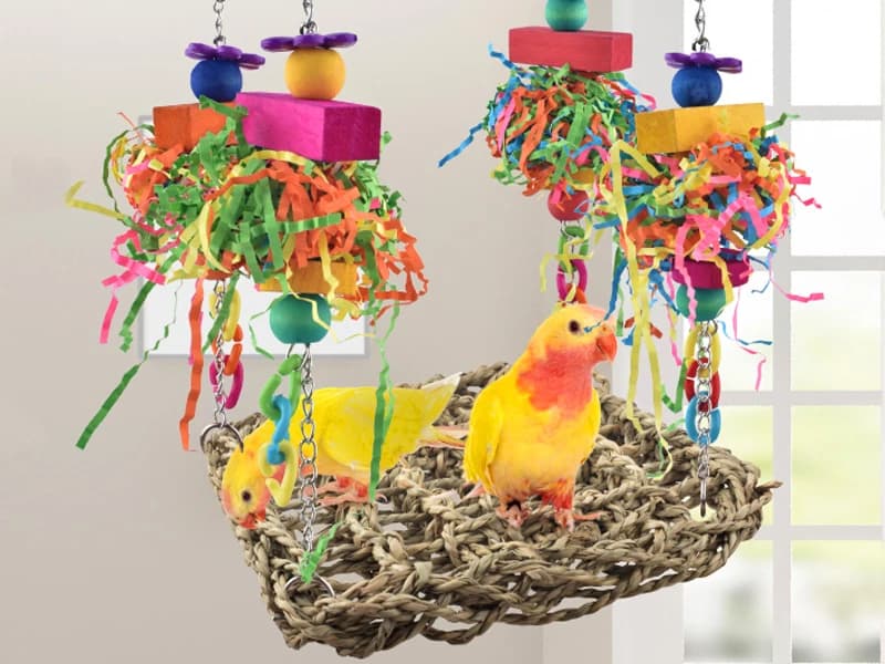 Bird Toys — Grass Swing Hammock Climbing Toy for Parrot Parakeet — Great Gift for Pet Birds And Friends Who Have Birds